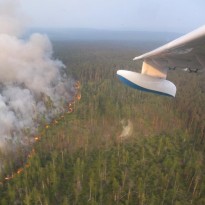 Greenpeace: «перелома» в борьбе с пожарами в Сибири нет, ситуация ухудшается