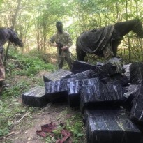 Ukraine border guards in Chernivtsi region track down horseback cigarette smugglers
