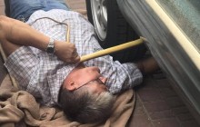 В Одессе полутораметровая краснокнижная змея заползла в автомобиль, который стоял на улице (фото)