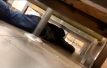 Стрельба в Техасе: опубликовано жуткое видео с места событий