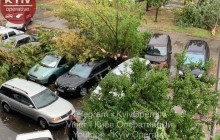 У столиці сильний вітер і злива призвели до падіння дерев та підтоплень (фото)