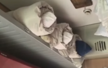 У мережі показали відео НП у потязі "Укрзалізниці"