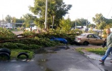 У Києві сильний вітер ламав дерева і зносив рекламні банери (фото, відео)