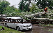 Ураган у Миколаєві зносив дахи, ламав дерева й електроопори (фоторепортаж, відео)