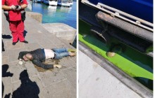 В Киеве на речном вокзале в воде нашли труп мужчины (фото)