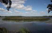 На території мисливських угідь відомої резиденції Януковича створять нацпарк
