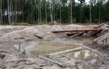 Кабмин взялся за добычу янтаря в Украине: что изменится