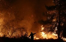 Грецию охватили лесные пожары (видео)