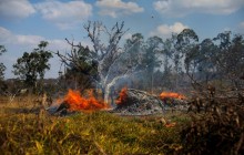 У лісах Амазонії зафіксували рекордну кількість пожеж