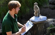 Зважені та щасливі: як у лондонському зоопарку тварин вимірювали (фоторепортаж)