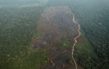 Члены G7 готовы помочь в тушении масштабных пожаров в Амазонии