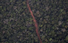 Страны G7 выделят $22 миллиона на борьбу с лесными пожарами в Амазонии