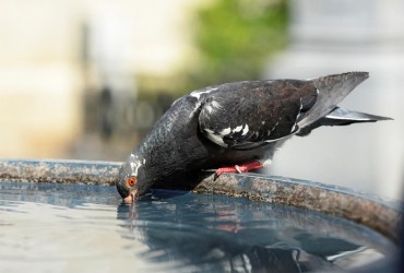 З вівторка спека почне залишати Україну: де стане легше дихати (карта)