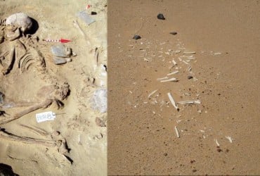 Археологи нашли цивилизацию, существовавшую задолго до Древнего Египта