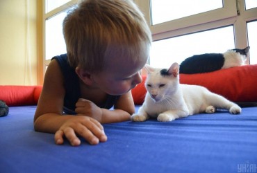 Чи впізнають коти своїх господарів: експерти розкрили всю правду та здивували відповіддю