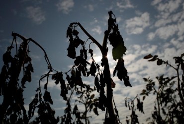 Китай накрила найсильніша спека за всю 60-річну історію спостережень