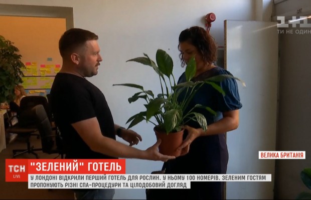 У Лондоні відкрили перший п’ятизірковий безкоштовний готель для рослин (відео)