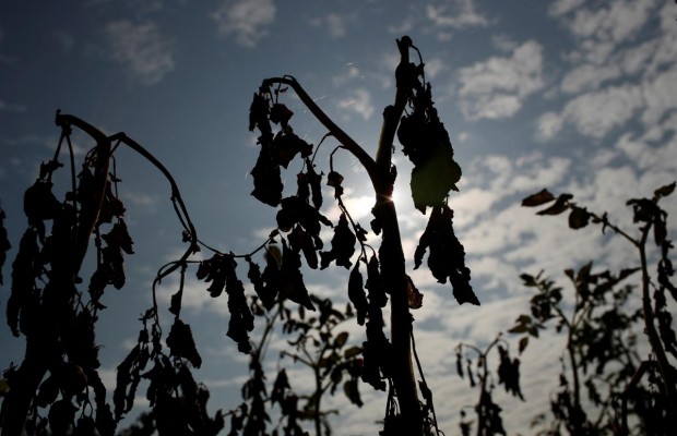 Вчені передрекли Європі нові катаклізми в майбутньому