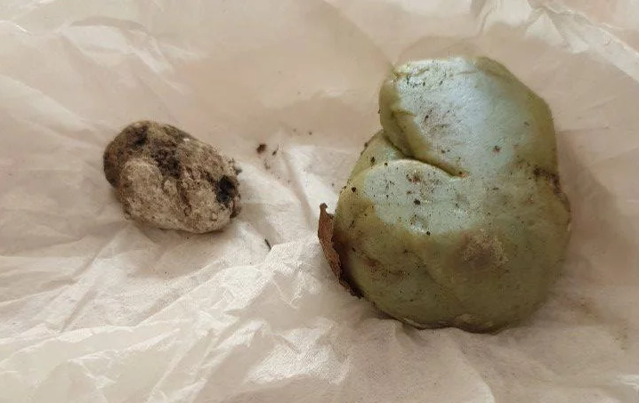 Львовские дети бросили камень в польского дипломата / zaxid.net - фото пресс-службы ЛГС