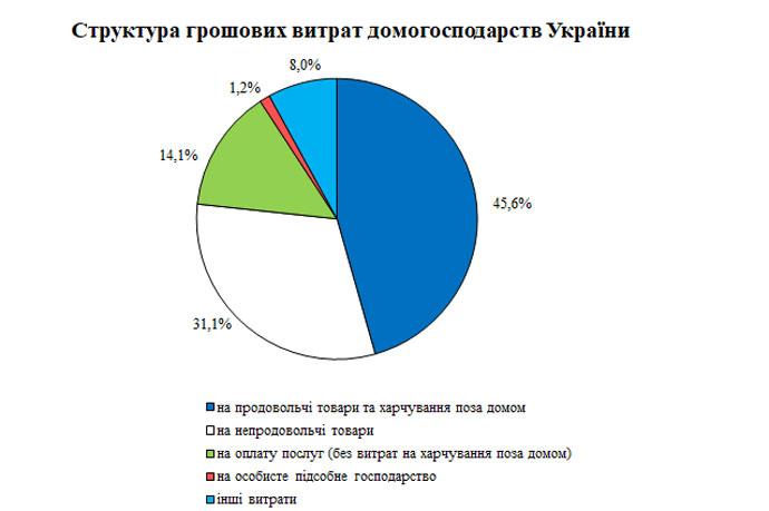 Почти половину своих доходов украинцы тратят на еду (инфографика) Почти половину своих доходов украинцы тратят на еду (инфографика)