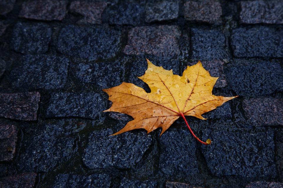 18 сентября - самый лучший день месяца / фото pixabay.com 18 сентября - самый лучший день месяца / фото pixabay.com