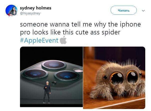 Хтось пояснить мені, чому Iphone Pro схожий на до біса милого павучка / Twitter Хтось пояснить мені, чому Iphone Pro схожий на до біса милого павучка / Twitter
