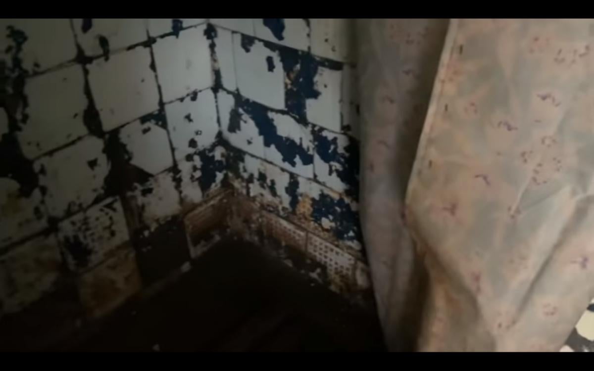 За словами журналістки, в душовій можна отримати астму від цвілі / скріншот з відео За словами журналістки, в душовій можна отримати астму від цвілі / скріншот з відео