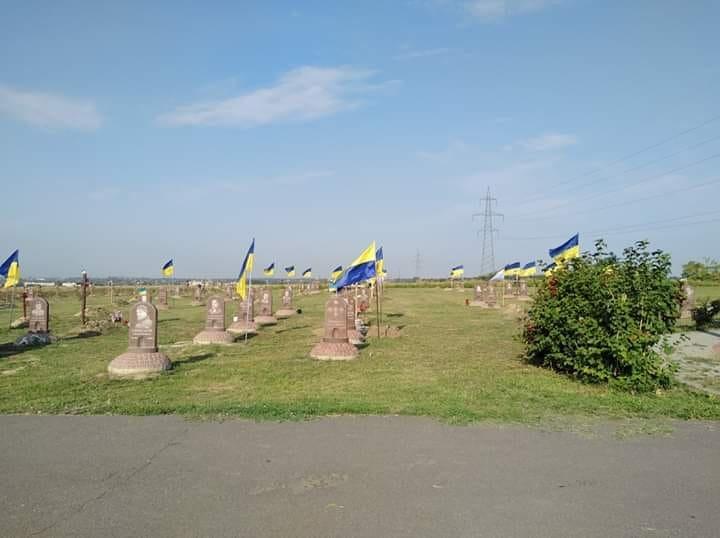 В Днепре коммунальщики сняли флаги с могил / фото Галина Пугачева / Facebook В Днепре коммунальщики сняли флаги с могил / фото Галина Пугачева / Facebook