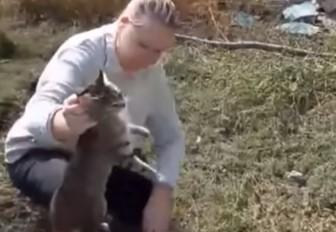 Кошку вытащили спасатели / скриншот видео ТСН Кошку вытащили спасатели / скриншот видео ТСН