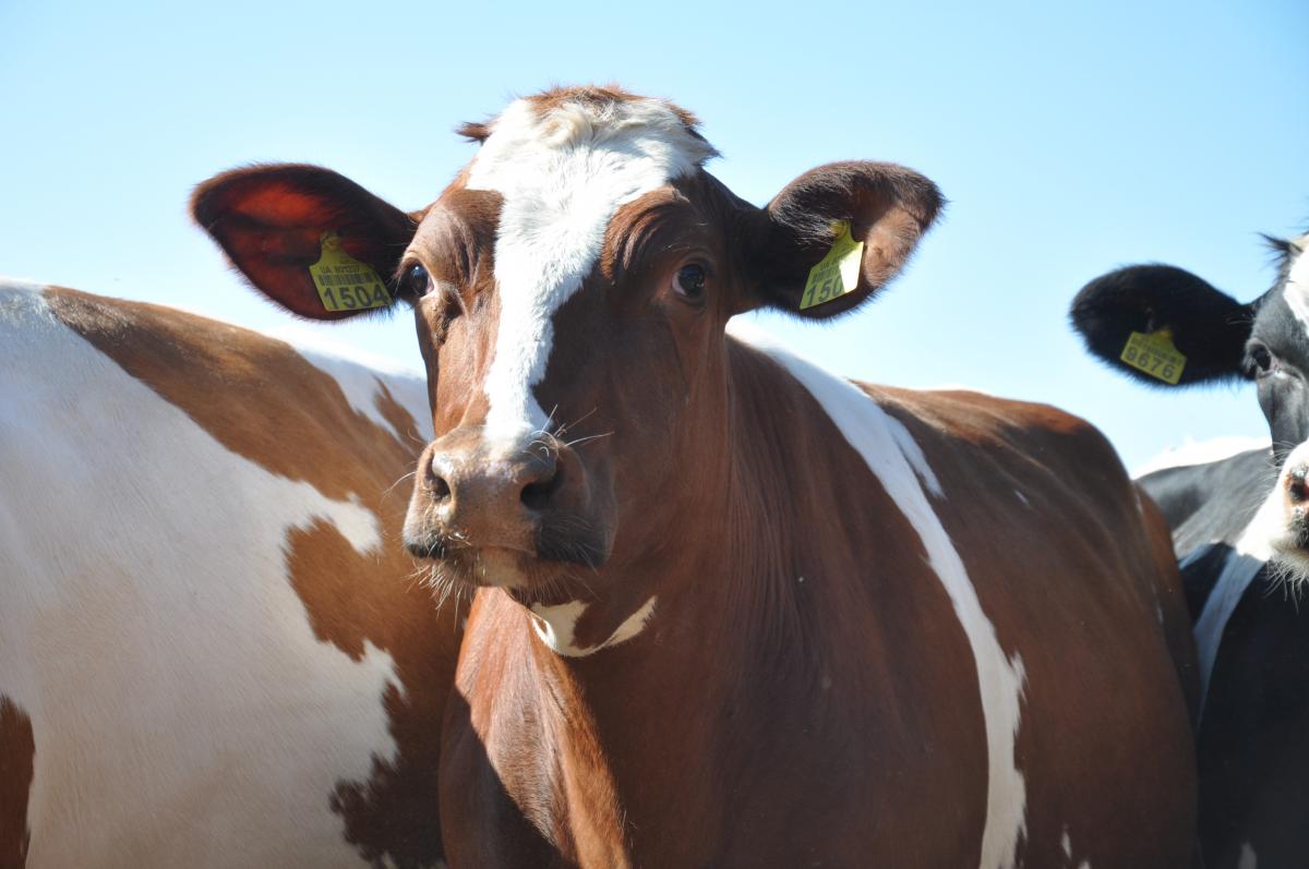 Фото пресс-службы