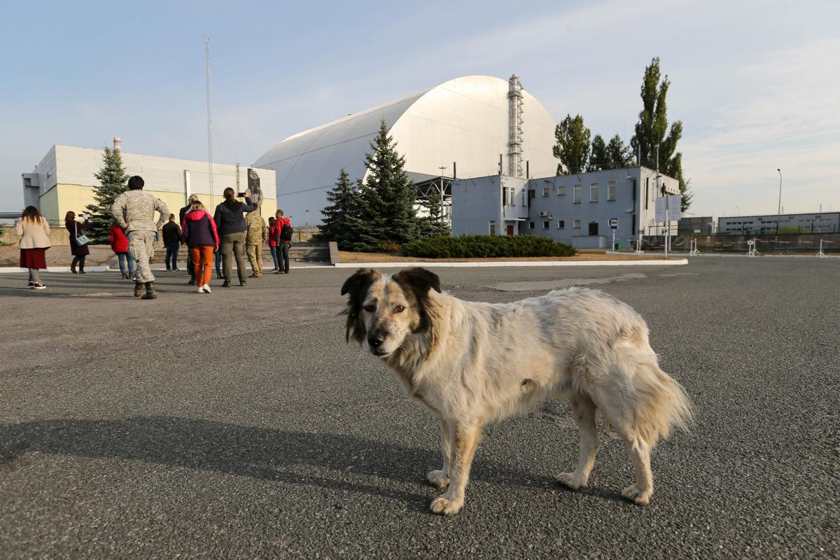 Новая экскурсия в Чернобыль: можно попасть внутрь «Саркофага», пройти по «золотому коридору» и увидеть щит управления четвертым блоком ЧАЭС