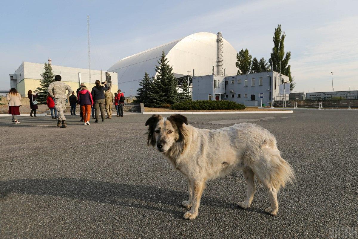Загрози з повітря і на землі: на ЧАЕС розкрили, як РФ та Білорусь ускладнюють роботу атомників