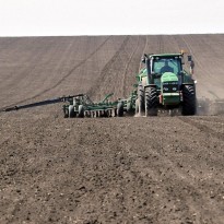 Parliament speaker Razumkov: Farmland bill not yet on agenda of plenary session