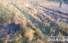 В Житомирской области при сжигании сухой травы от взрыва боеприпаса погиб пенсионер