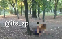 У Запоріжжі дівчатка-підлітки жорстоко били одна одну на очах в однолітків (відео, 18+)