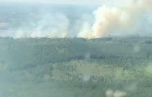 Біля Чорнобильської зони загорівся ліс, для гасіння вогню залучили авіацію (відео)