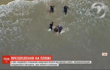 В Лос-Анджелесе грабитель пытался сбежать от копов в открытое море (видео)