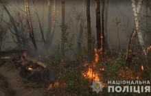 Женская месть: полиция назвала причину пожара в Чернобыльской зоне
