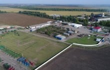 Несмотря на засуху, «Укрлендфарминг» рассчитывает на хороший урожай рапса