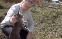 Спасительная веточка: домашняя кошка выжила после двух суток в заброшенном колодце (видео)