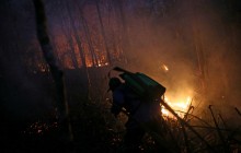 У Болівії пожежі знищили 3,5 млн га рослинності