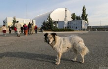 Кадровый скандал в правительстве: Чернобыльской зоной теперь руководит фигурантка расследования о продаже должностей - СМИ