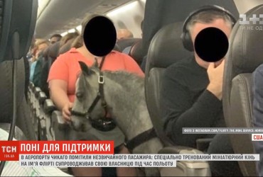 У США пасажирка взяла на борт літака поні для моральної підтримки