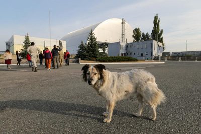 Пол золотого коридора чаэс