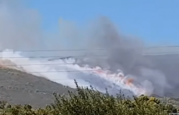 Лісові пожежі в Греції: до боротьби з вогнем залучили авіацію (відео)