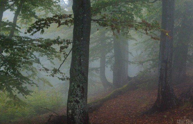 Туристів просять утриматись від походів у Карпати через негоду