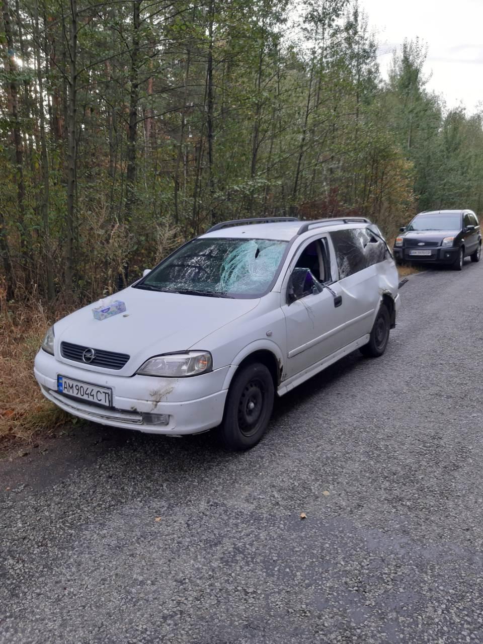 под колеса автомобиля ВАЗ попал лось / фото пресс-службы Житомирского областного управления лесного и охотничьего хозяйства под колеса автомобиля ВАЗ попал лось / фото пресс-службы Житомирского областного управления лесного и охотничьего хозяйства