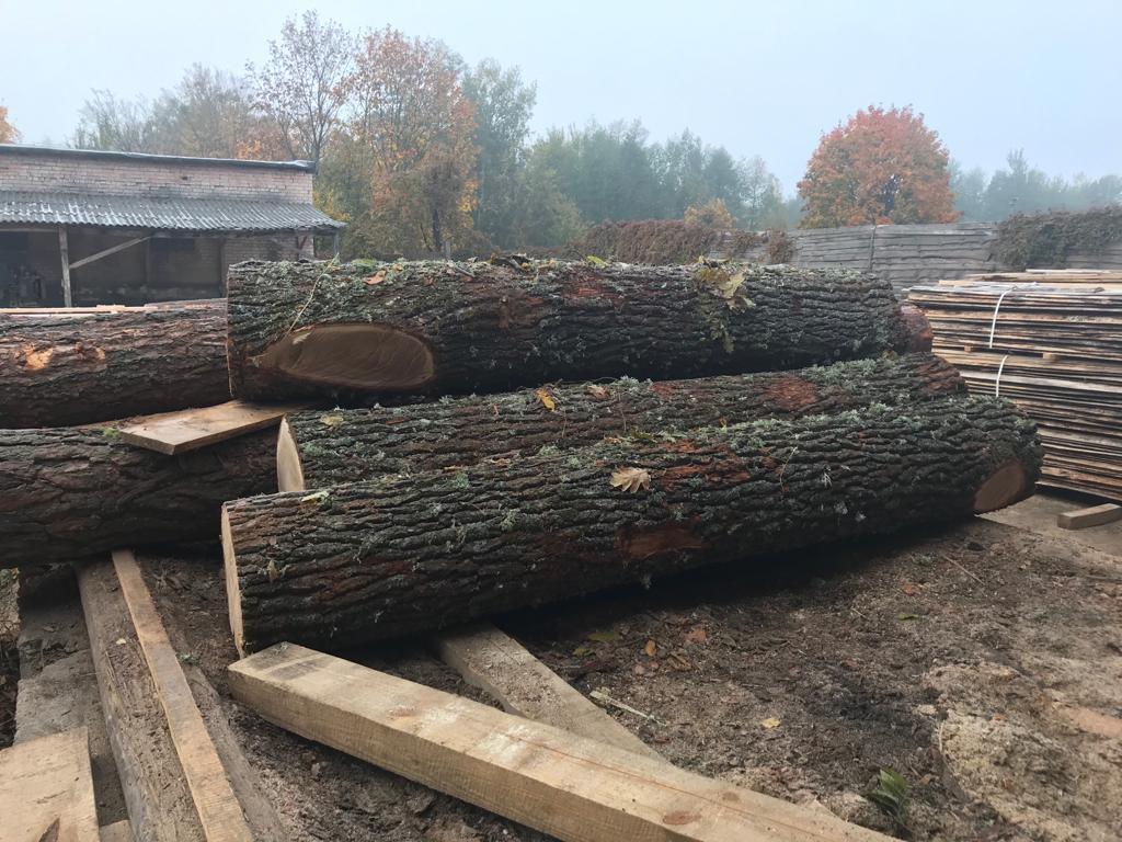 Наразі вирішується питання про накладення арешту на вилучені деревину та документи / фото прокуратури Житомирської області Наразі вирішується питання про накладення арешту на вилучені деревину та документи / фото прокуратури Житомирської області