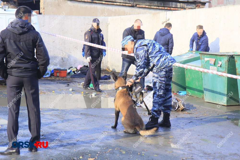 В Орске задержан предполагаемый расчленитель женщины / Orsk.ru