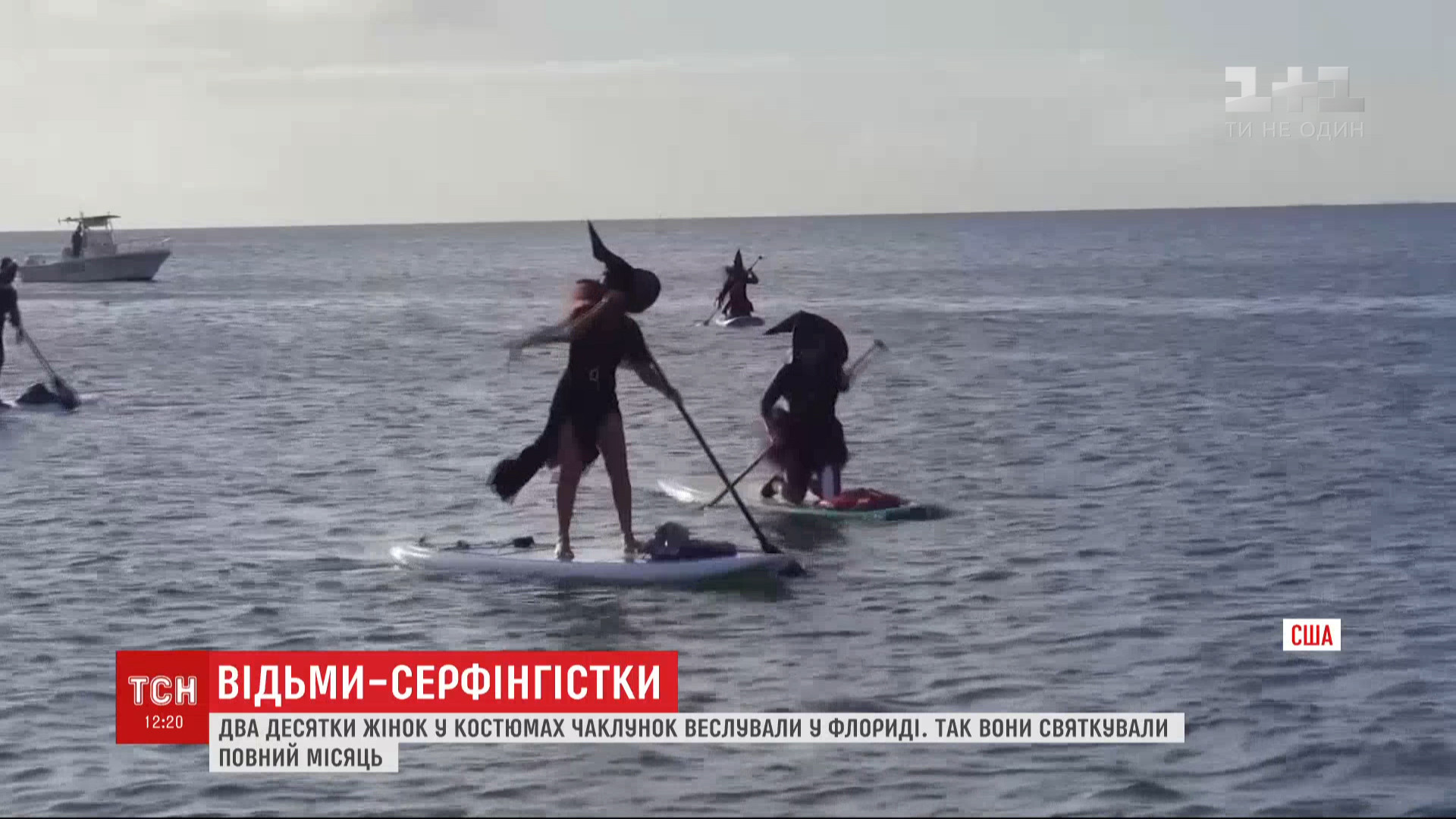 Все женщины были одеты в черные шляпы и мантии / скриншот Все женщины были одеты в черные шляпы и мантии / скриншот